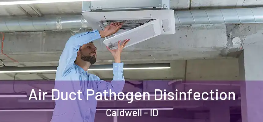  Air Duct Pathogen Disinfection Caldwell - ID