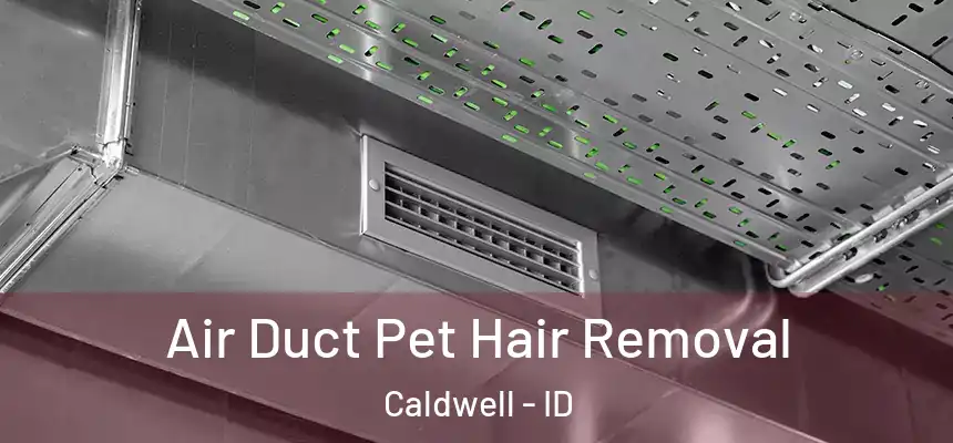 Air Duct Pet Hair Removal Caldwell - ID