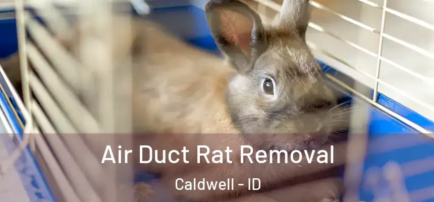  Air Duct Rat Removal Caldwell - ID