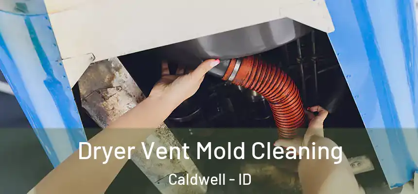 Dryer Vent Mold Cleaning Caldwell - ID