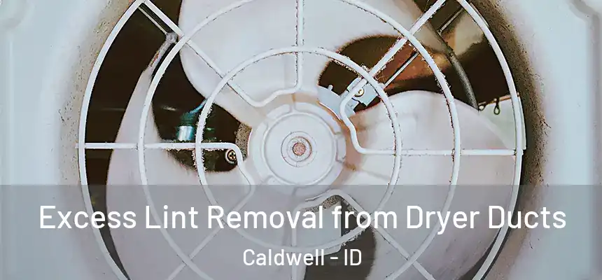 Excess Lint Removal from Dryer Ducts Caldwell - ID