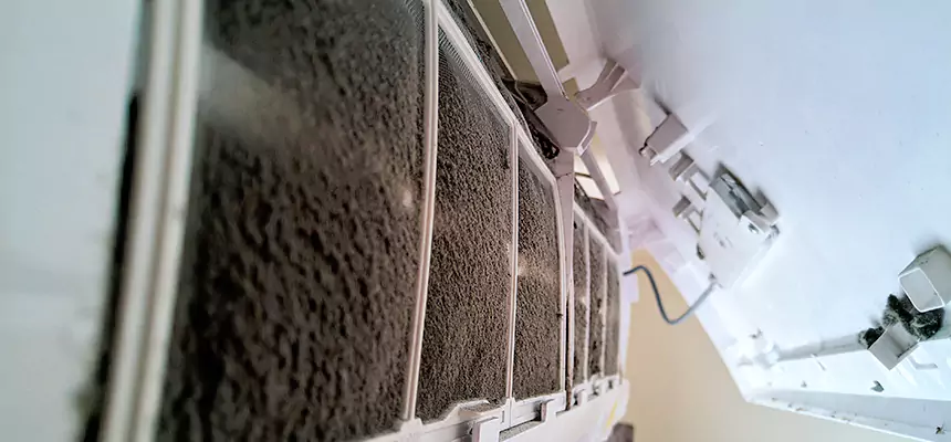 Preventive Air Duct Bacteria Removal in Caldwell