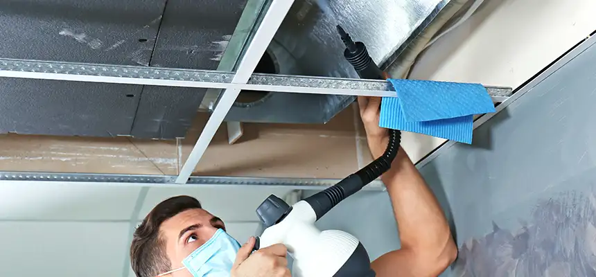 Our Air Duct Rodent Removal Services in Caldwell, ID