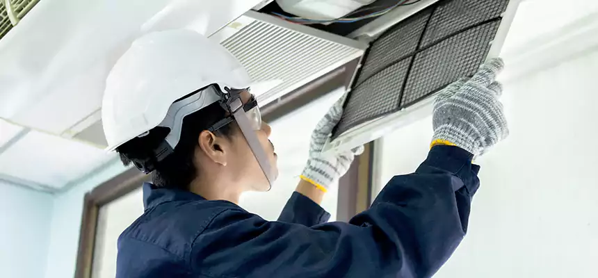 Our Mold & Mildew Removal from Air Ducts Services in Caldwell, ID