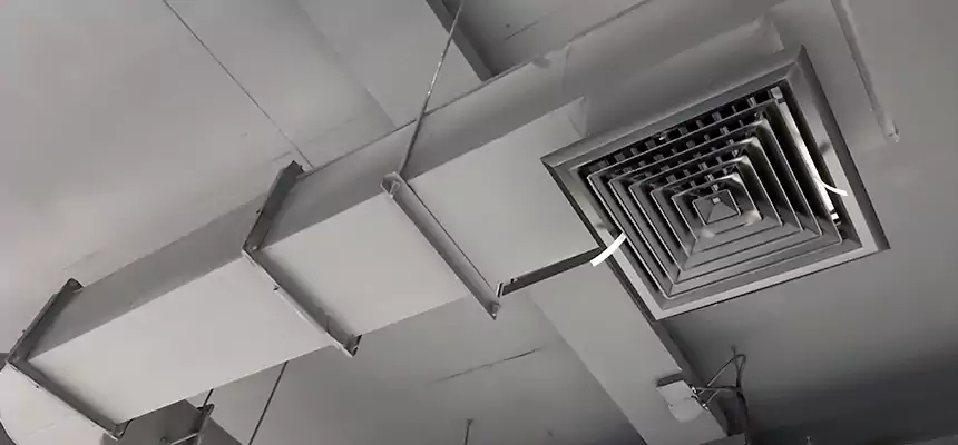 Our Pest Removal From Ducts Services in Caldwell, ID