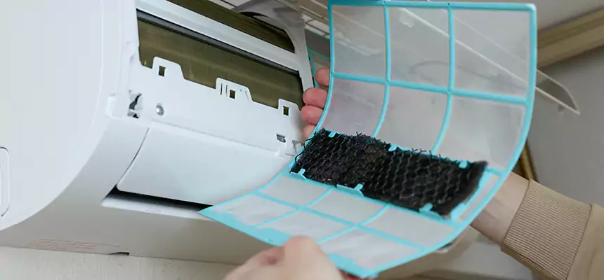 Gentle Ductwork Odor-Control Pet Dander Duct Cleaning in Caldwell, ID