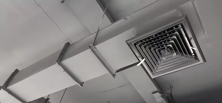 Our Rodent Droppings In Vents Services in Caldwell, ID