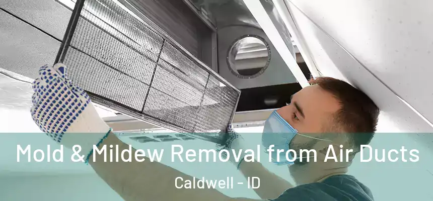  Mold & Mildew Removal from Air Ducts Caldwell - ID