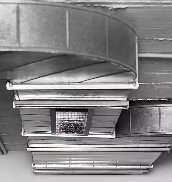 Professional Air Duct Pet Hair Removal in Caldwell, ID