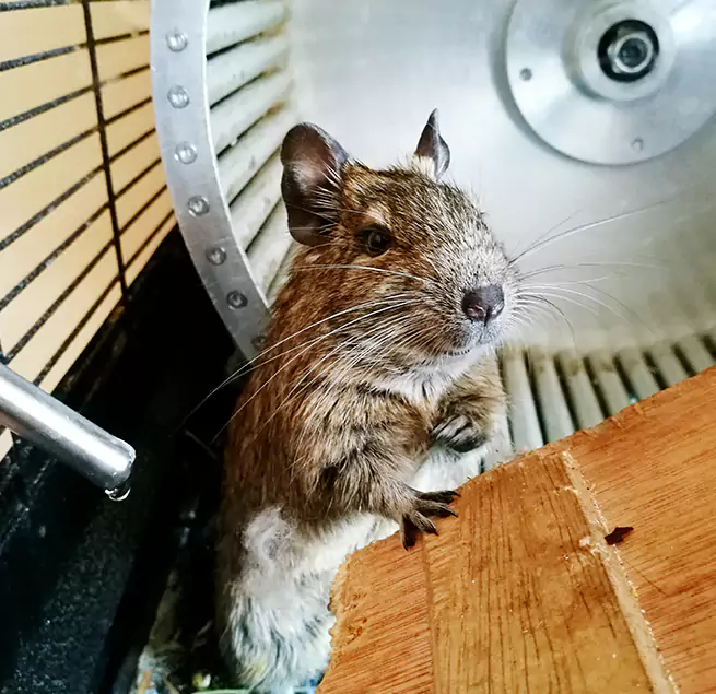 Why Homeowners & Businesses Trust Us Caldwell, ID