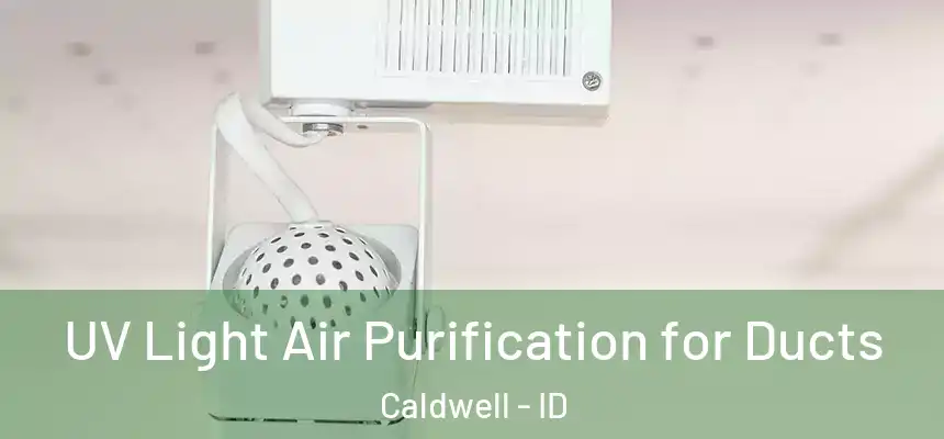  UV Light Air Purification for Ducts Caldwell - ID